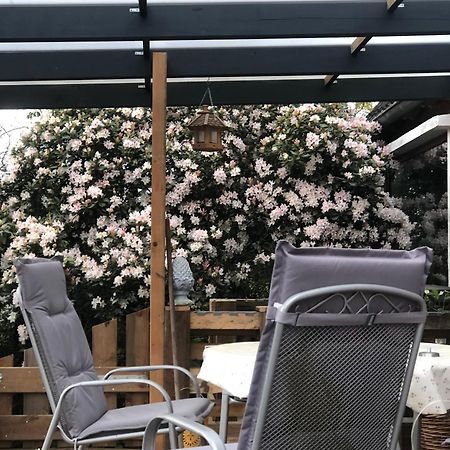 Haus Alma 1 Apartment Wardenburg Luaran gambar