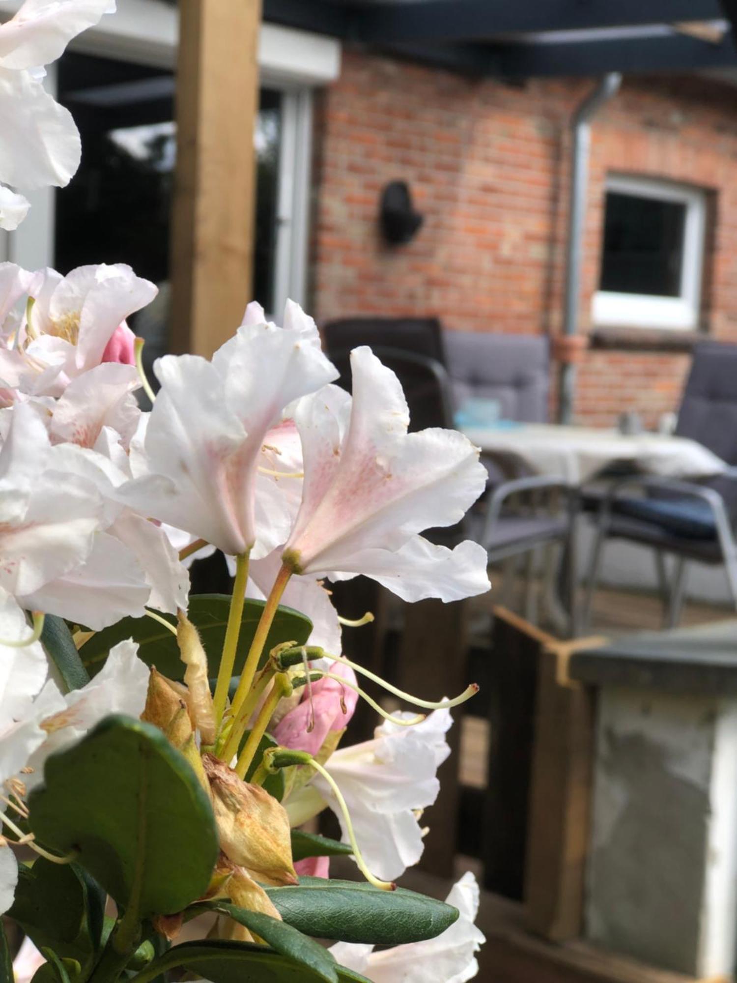 Haus Alma 1 Apartment Wardenburg Luaran gambar