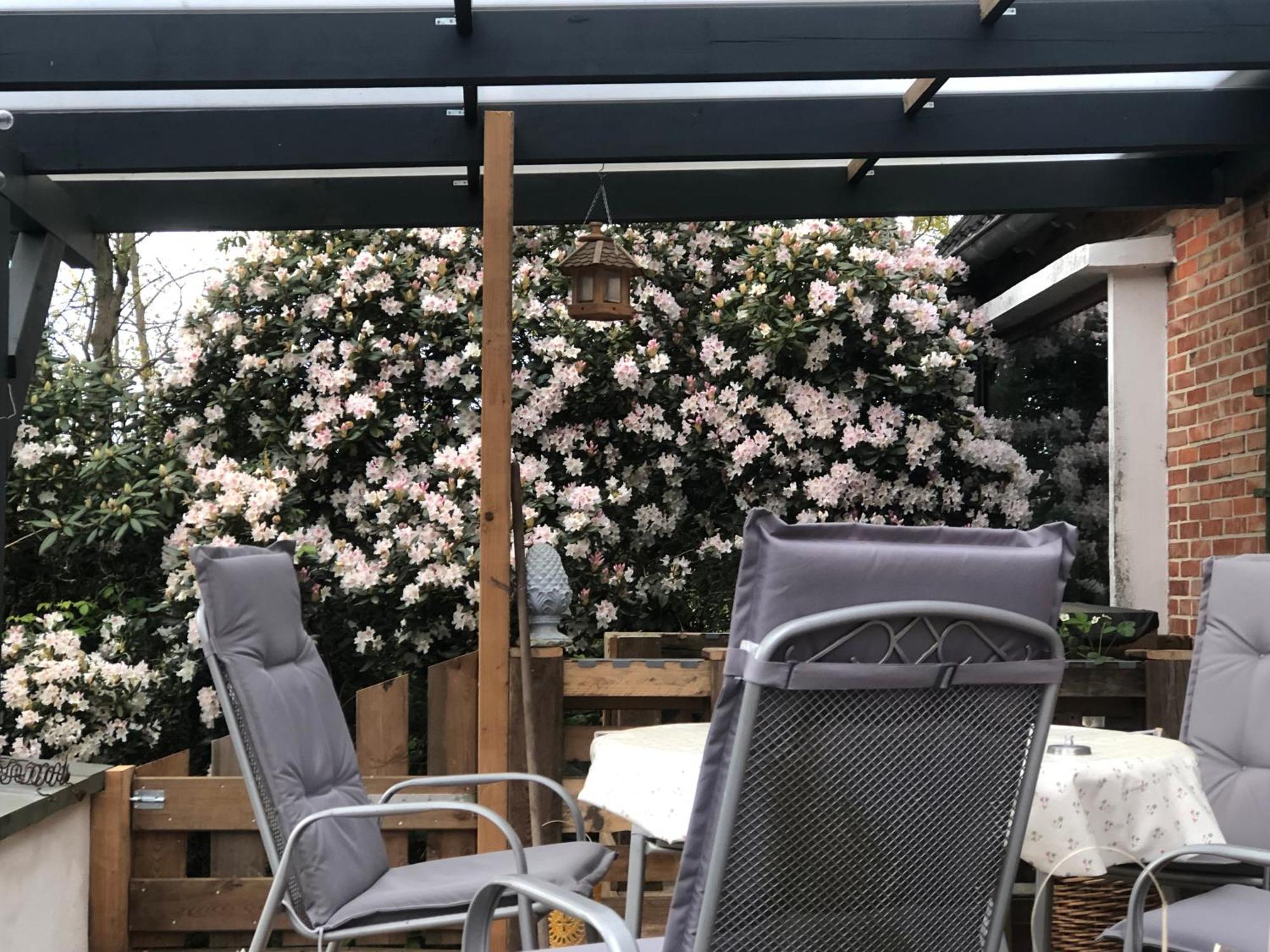 Haus Alma 1 Apartment Wardenburg Luaran gambar